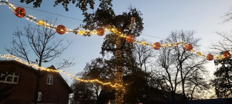 weihnachtsmarkt 2022