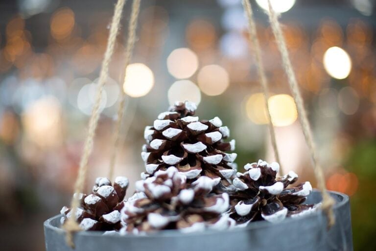 Presse 6 weihnachtliche lichter