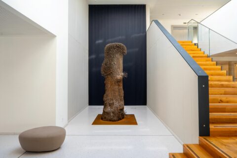 Heilende Architektur – ein anregendes Zuhause auf Zeit 1 kunstwerk von guenther uecker